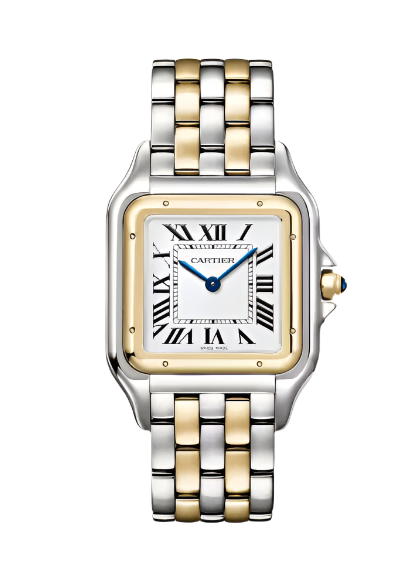 PANTHÈRE DE CARTIER - Medium Steel & Yellow Gold