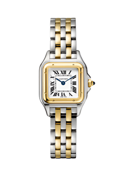 PANTHÈRE DE CARTIER - Small Steel and Yellow Gold